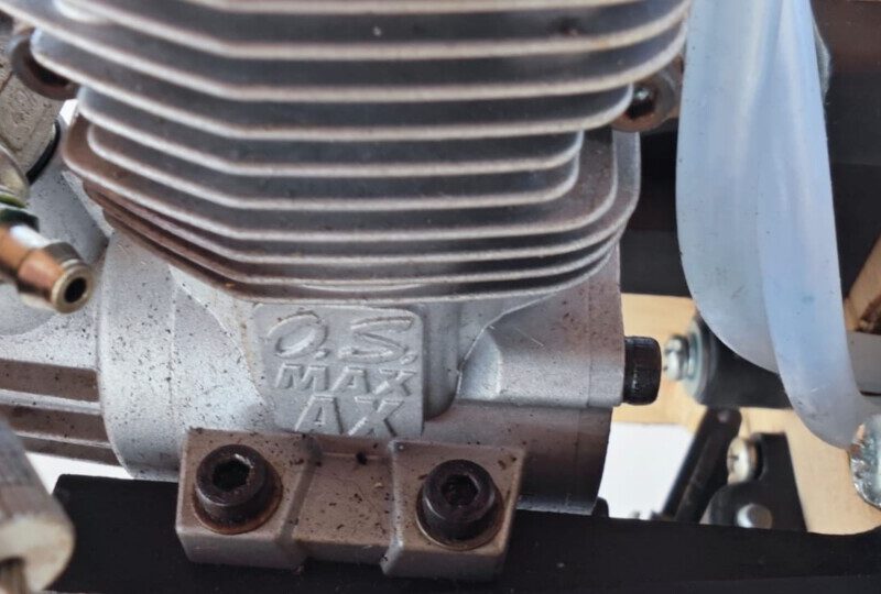 Vendo canary Phoenix model