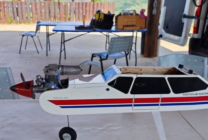 Vendo canary Phoenix model