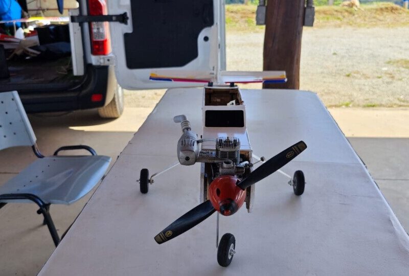 Vendo canary Phoenix model