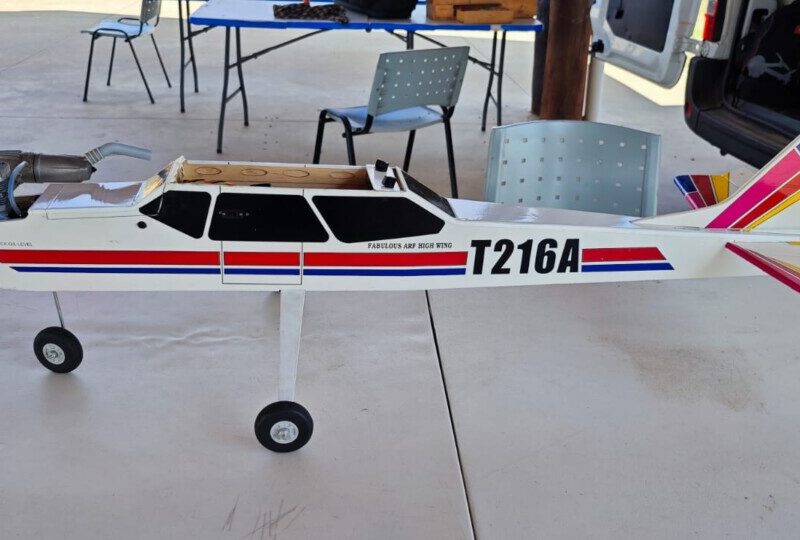 Vendo canary Phoenix model