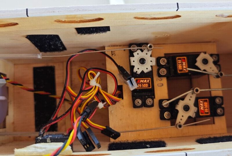 Vendo canary Phoenix model