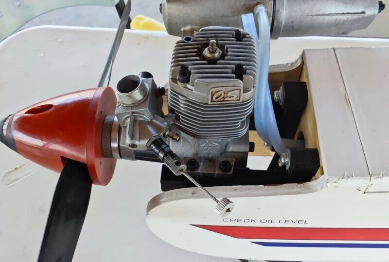 Vendo canary Phoenix model