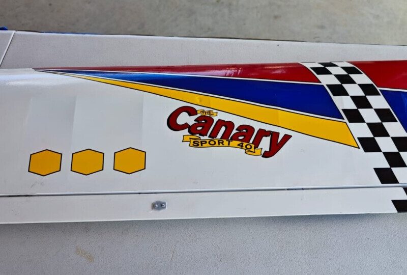 Vendo canary Phoenix model
