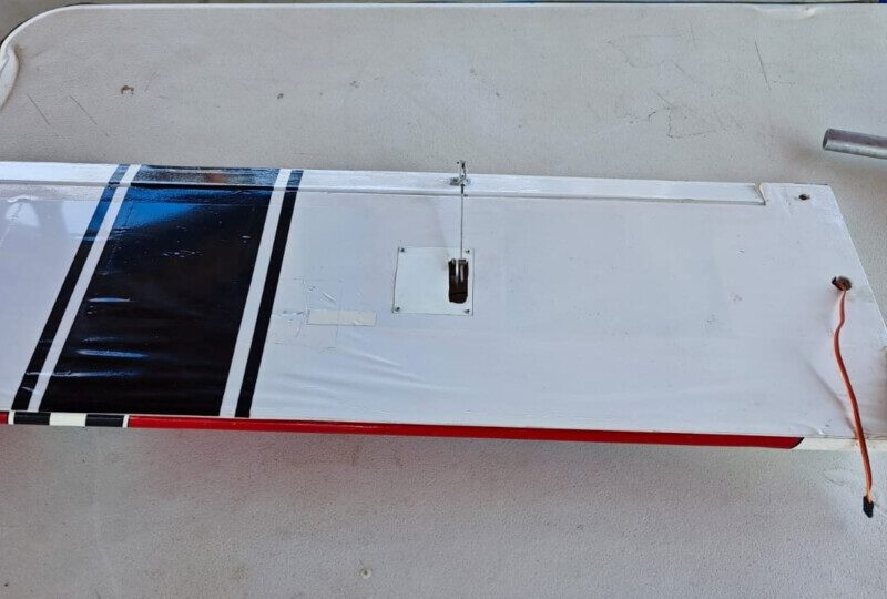 Vendo canary Phoenix model