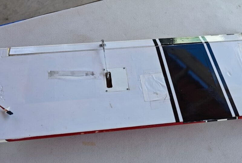 Vendo canary Phoenix model